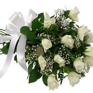 Rosas Brancas