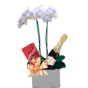 Orquídea com Chandon e Bombons Premium Lindt