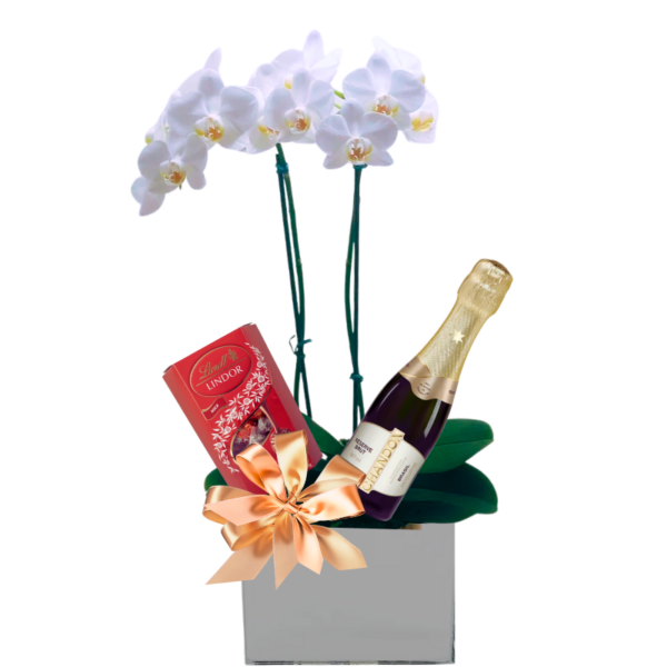 Orquídea com Chandon e Bombons Premium Lindt