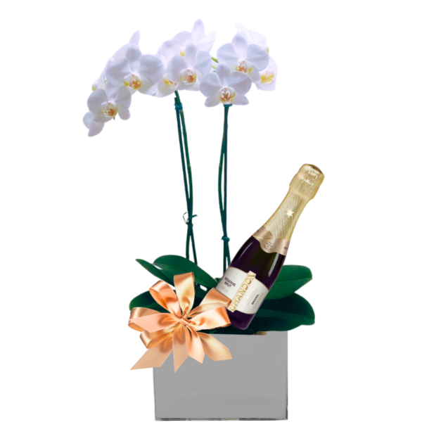 Orquídea e Chandon