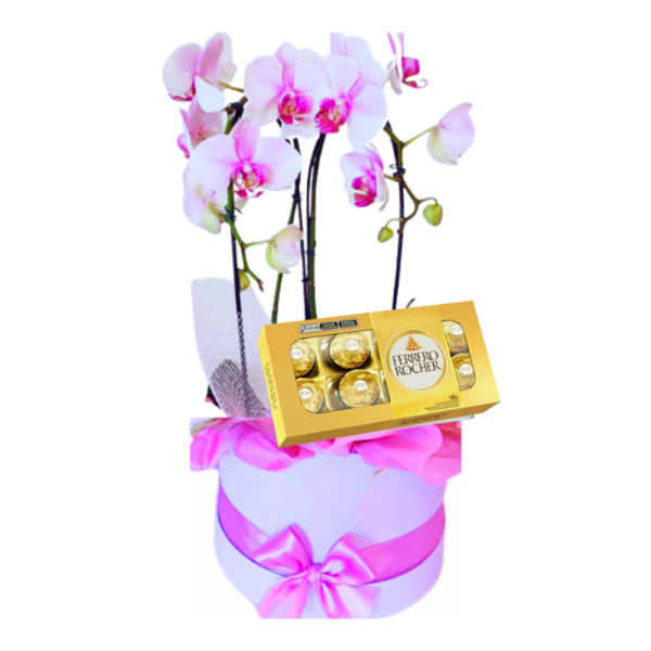 Orquídea Rosada com Ferrero