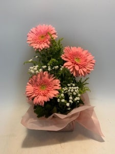 Arranjo Gérberas Rosa