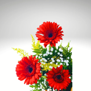 Arranjo de Gérberas Vermelho