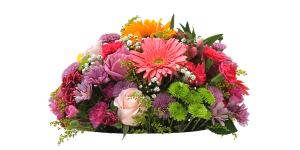 Flores do Campo e Rosas