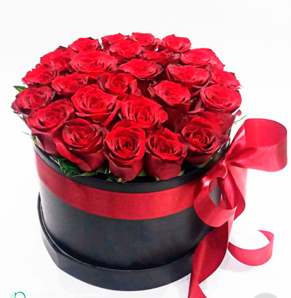 Box Esplendor 25 Rosas Maravilhoso