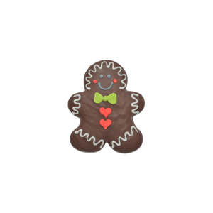 Ginger 30g