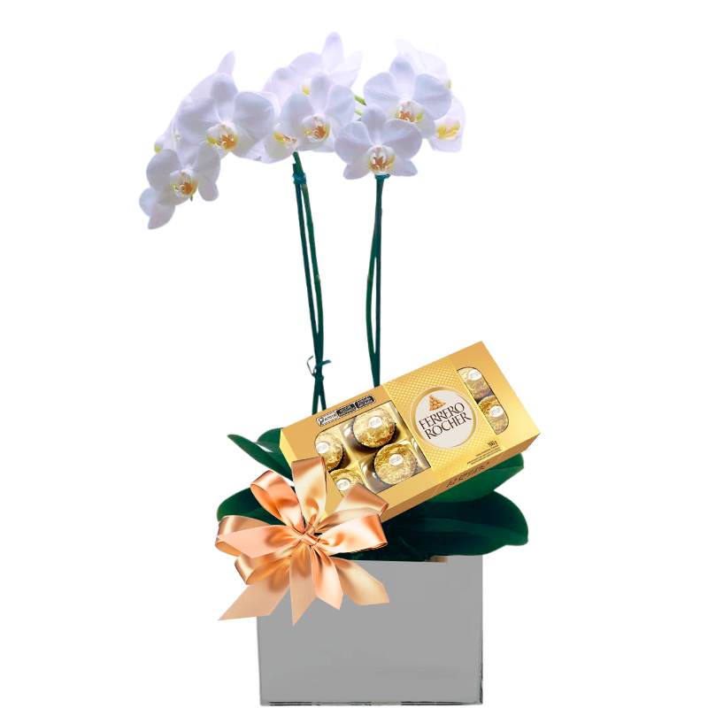 Orquídea Branca com Ferrero