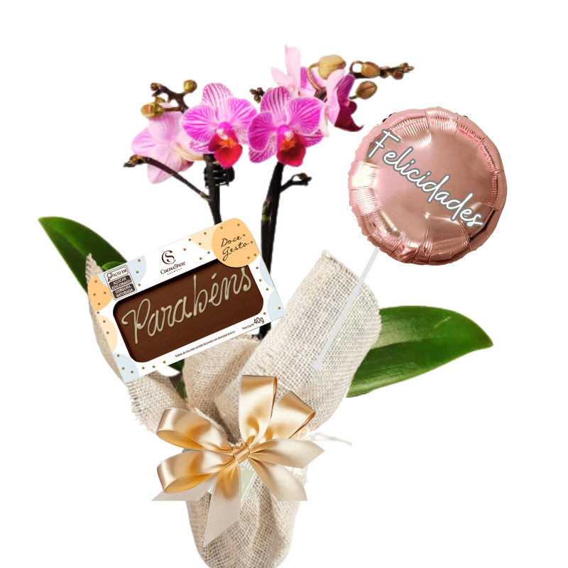 Orquídea pequena com Chocolate e Balão
