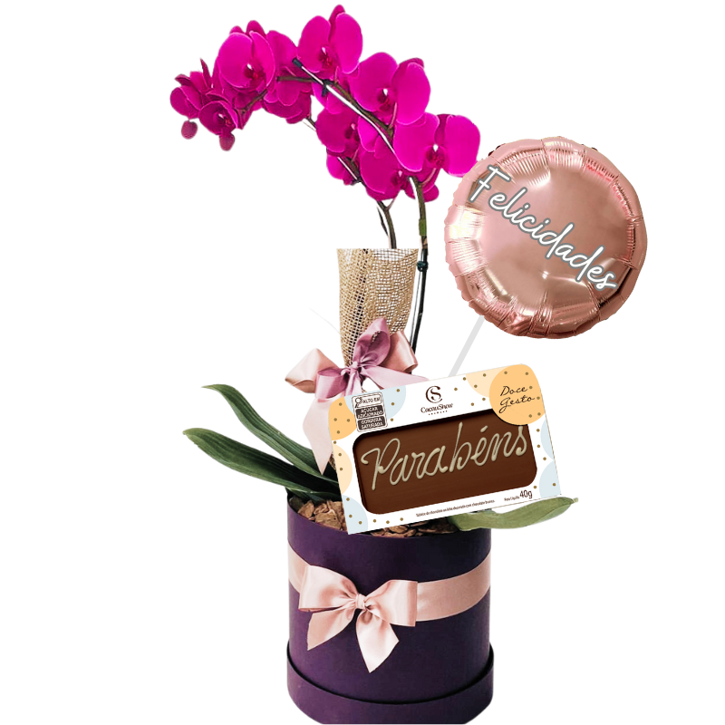 Orquídea Parabéns