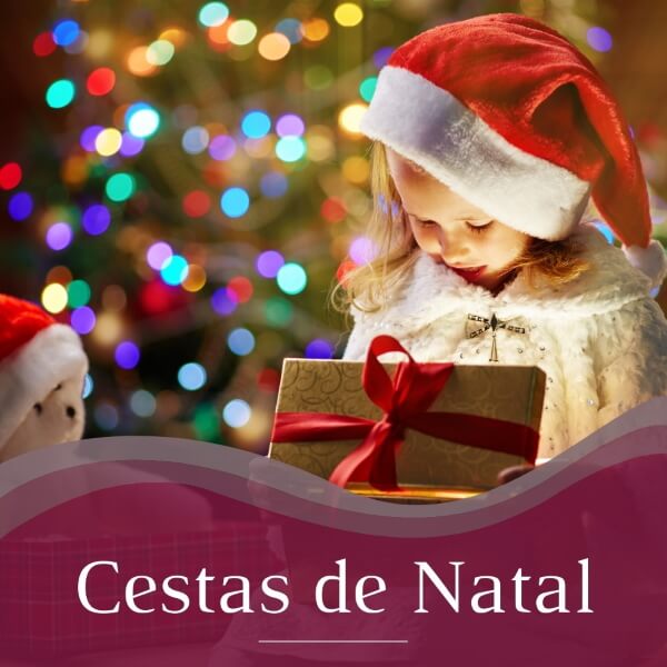 Monte sua Cesta de Natal